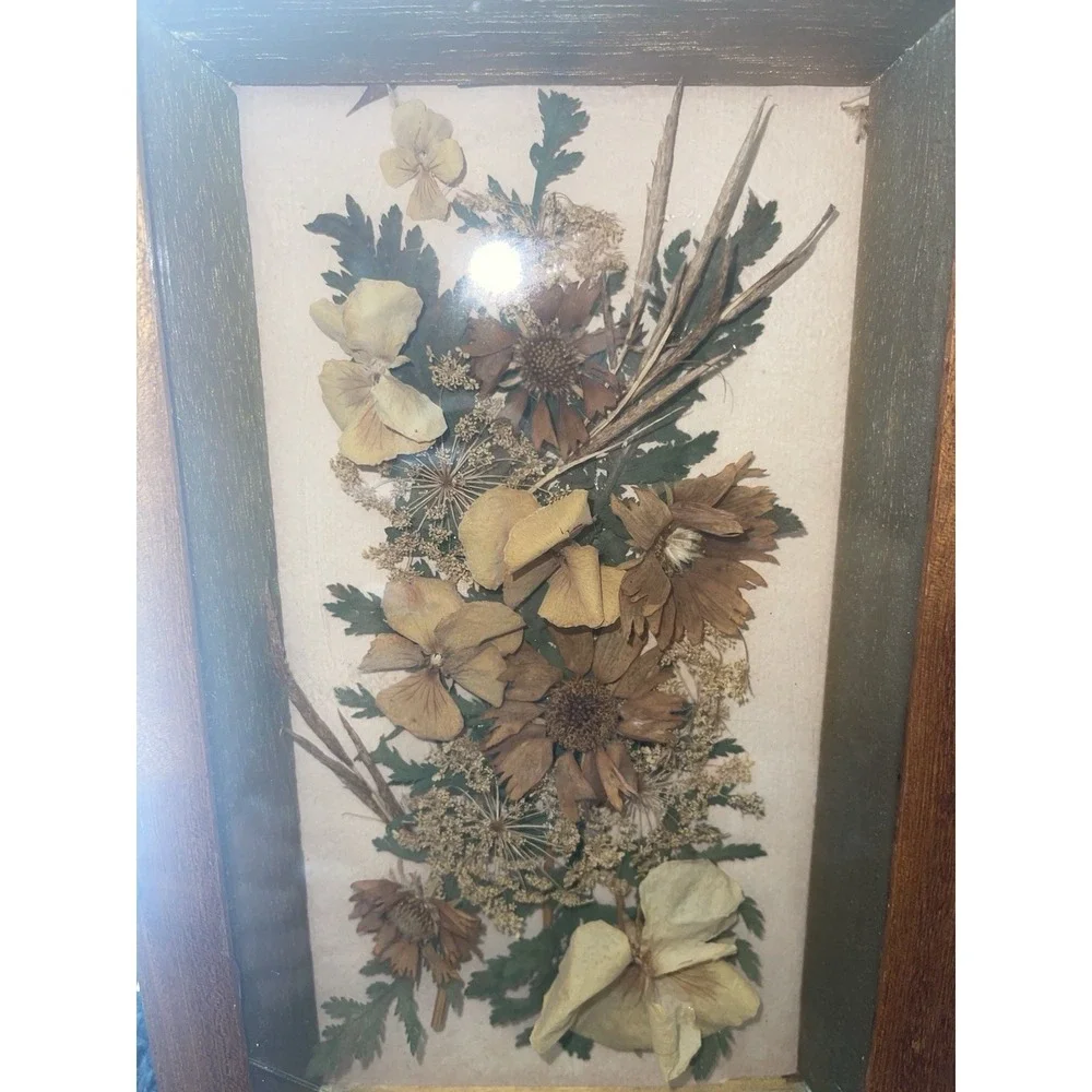 Vintage Dried Flowers Petals In Shadow Box Wood‎ Framed Wall Art Set of 2